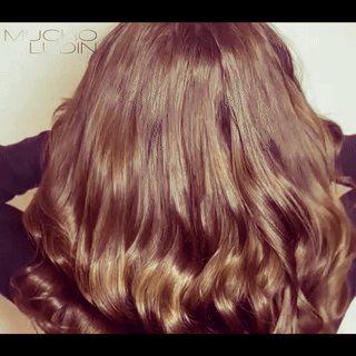 GIF Extensions Preise